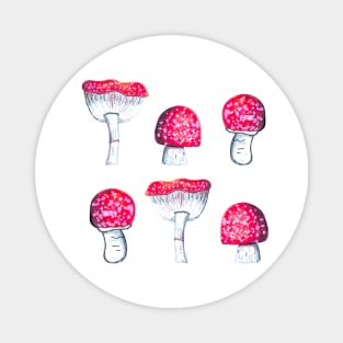 Red Amanita Mushrooms Magnet